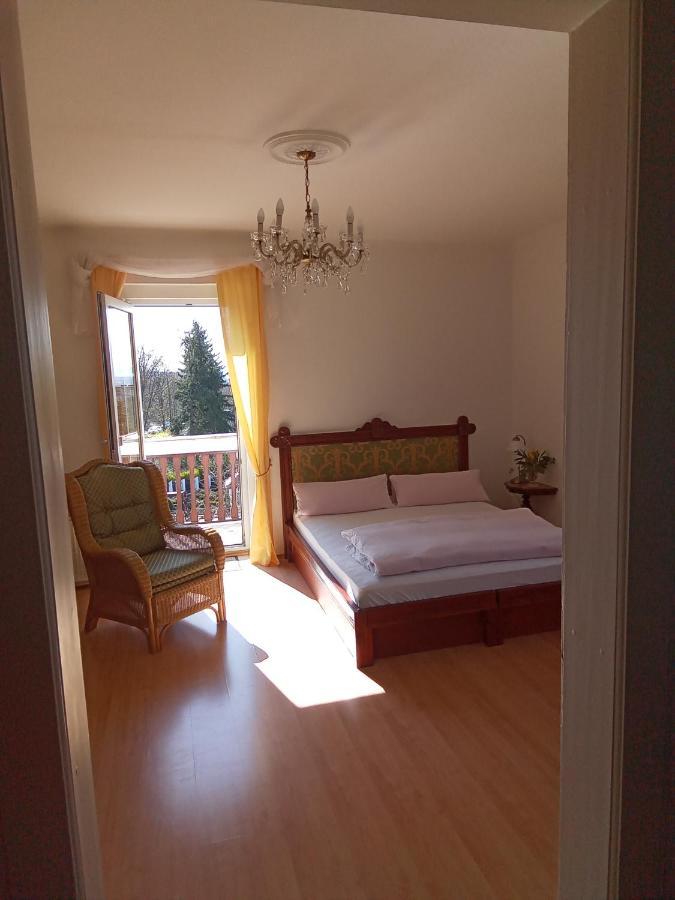 Pension Baron Schoeneck Karlovy Vary Bagian luar foto