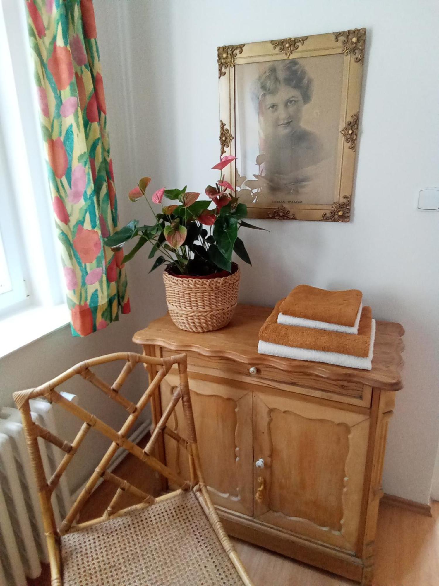 Pension Baron Schoeneck Karlovy Vary Bagian luar foto