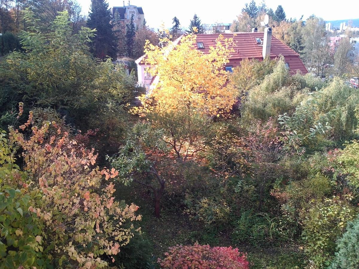 Pension Baron Schoeneck Karlovy Vary Bagian luar foto
