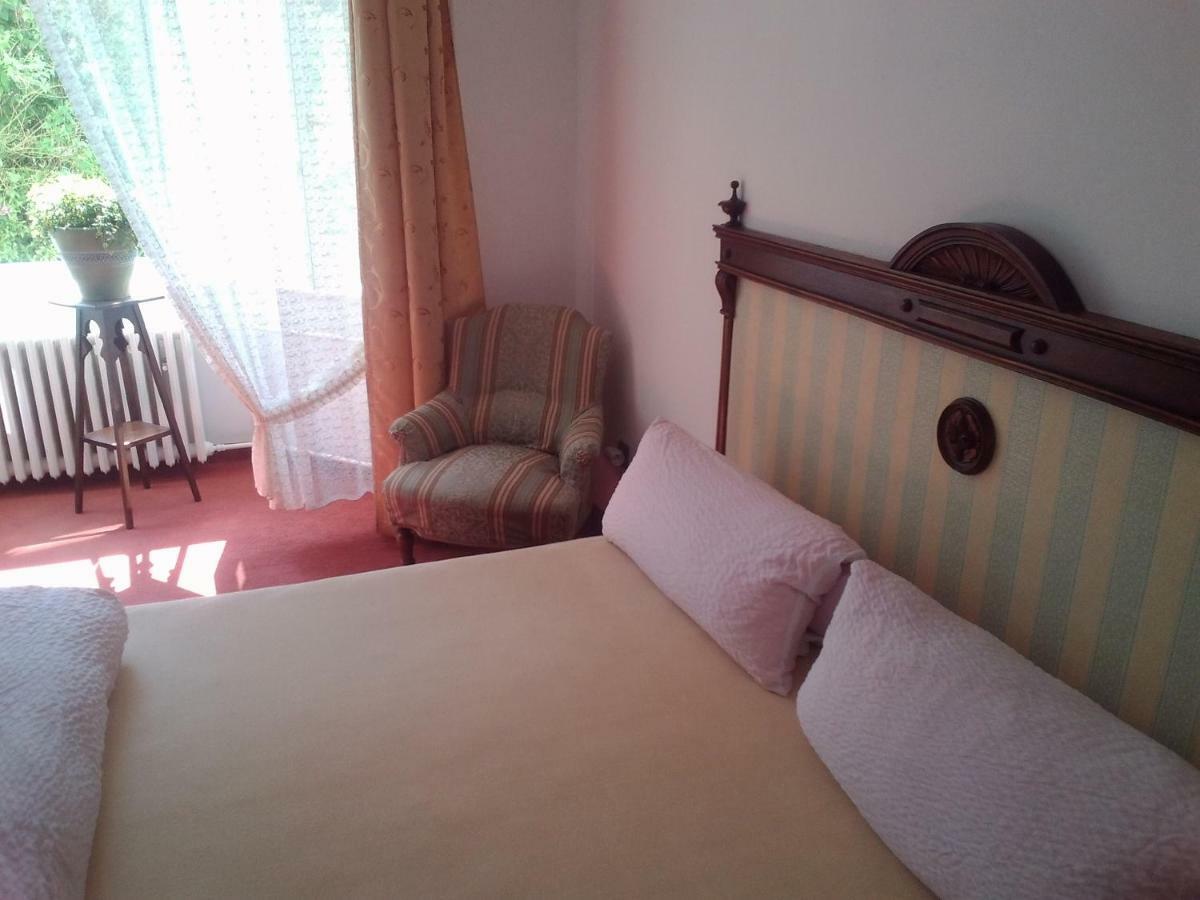 Pension Baron Schoeneck Karlovy Vary Bagian luar foto